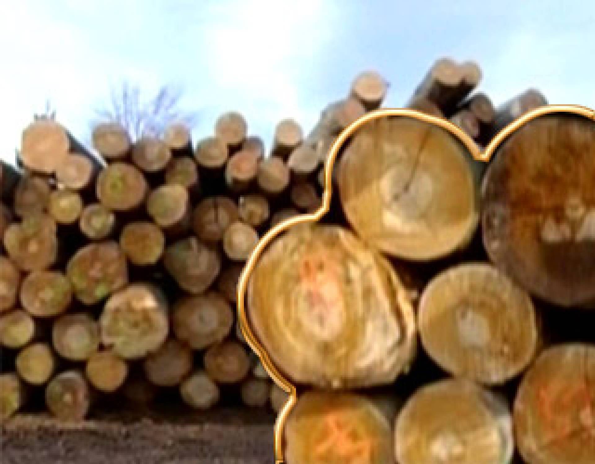 ipe wood lumber